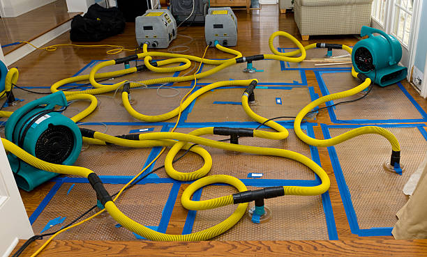 Professional Sewage Cleanup technician working in Sanborn, NY